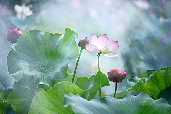 内江师范学院成考报名费